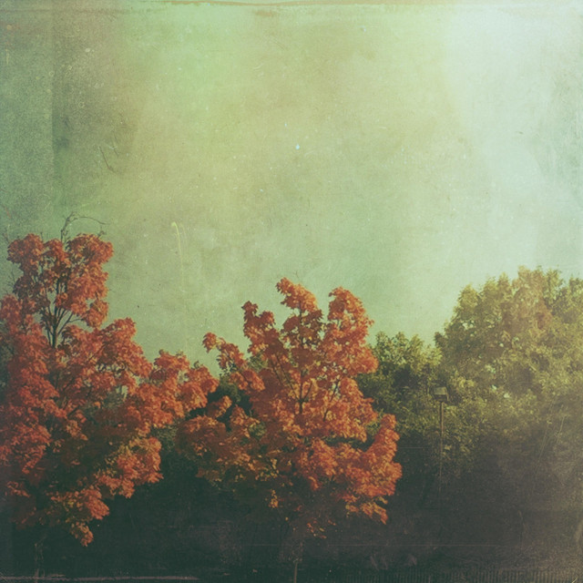 'Digital Wool, Vol. 2' cover art