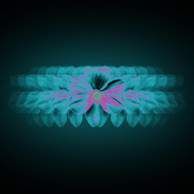 'complete' cover art