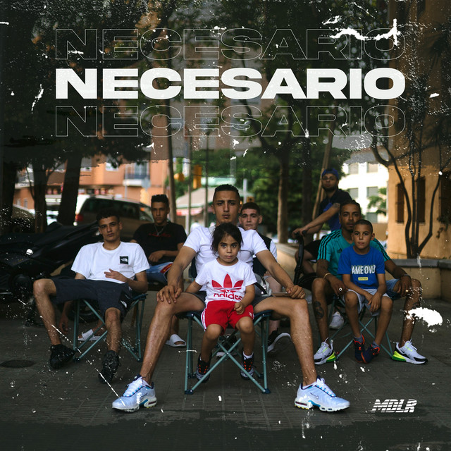 'Necesario' cover art