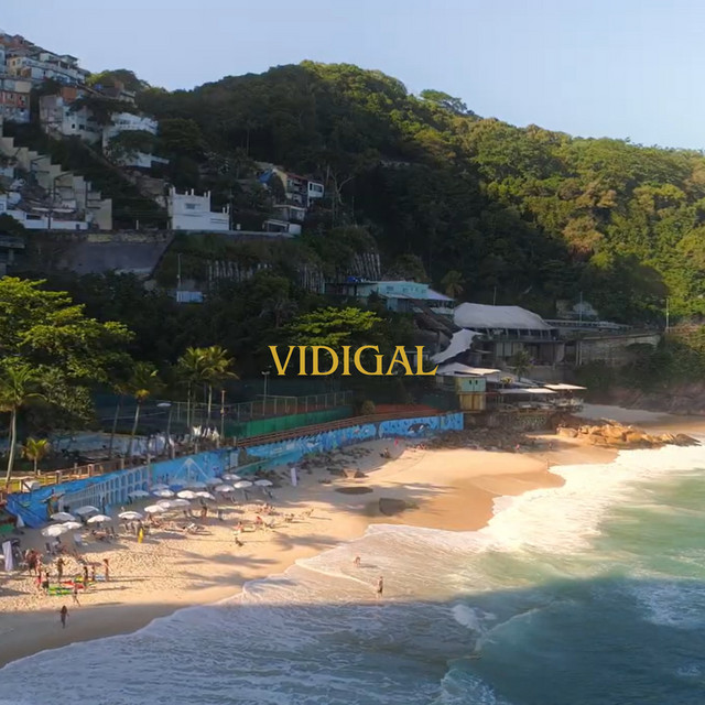 'Vidigal' cover art