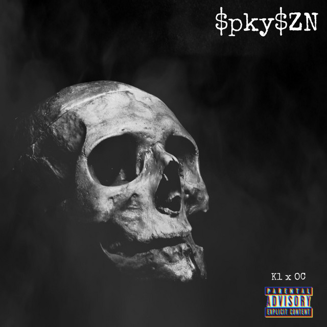 '$pky$ZN' cover art