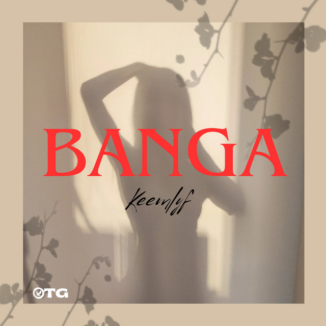 'Banga' cover art