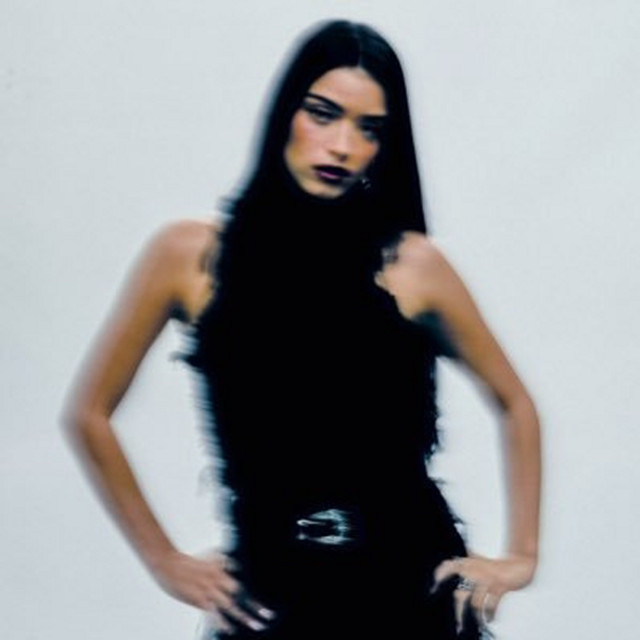 Dixie - Official Artist Photo