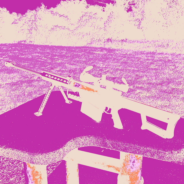 'Rifle' cover art