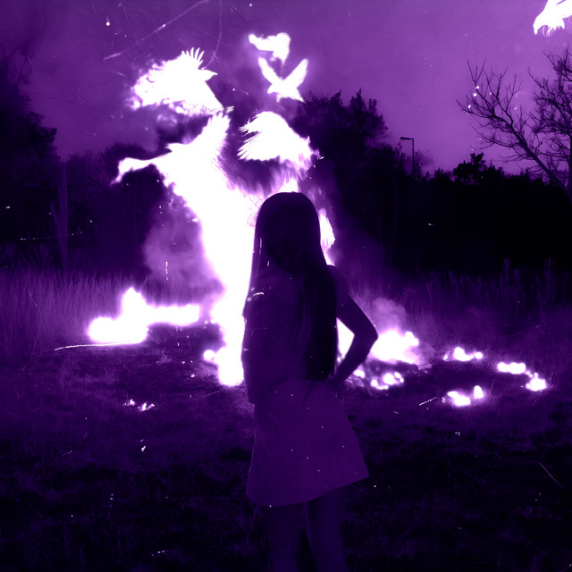 'Everlong' cover art