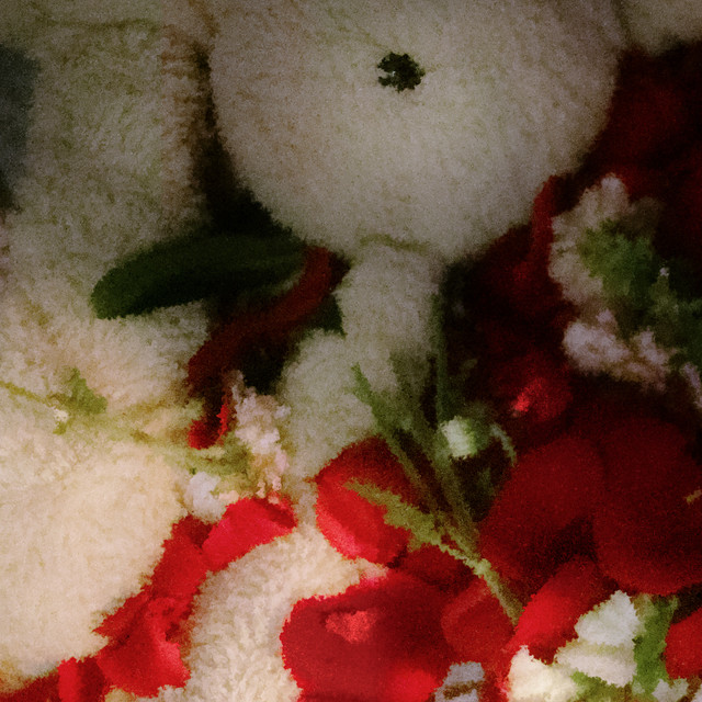 'OTRODIAOTRACANCIONTRISTE' cover art