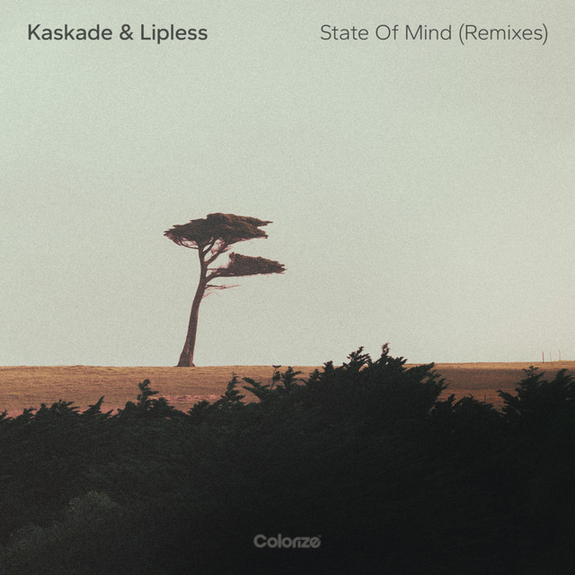 'State Of Mind (Remixes)' cover art
