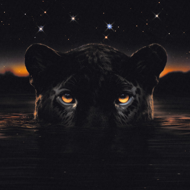 'JAGUAR II : Deluxe' cover art