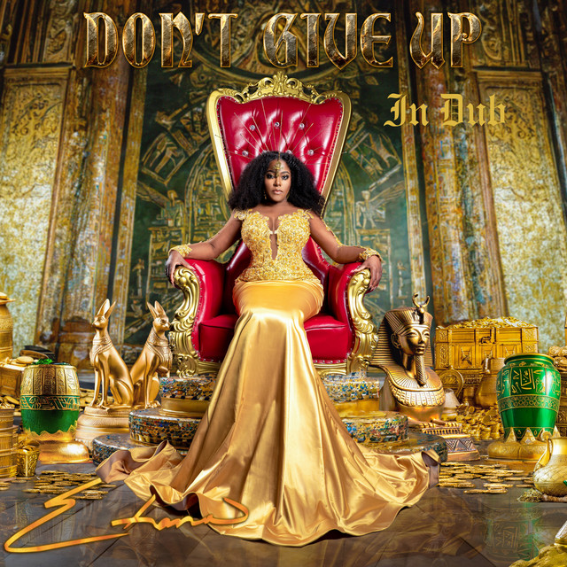 'Don't Give up in Dub' cover art