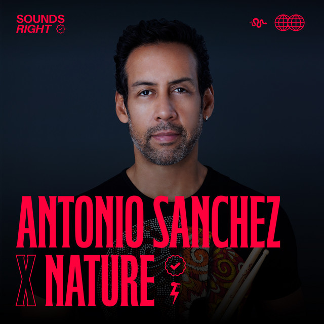 'Drumming With The Birds (feat. NATURE)' cover art