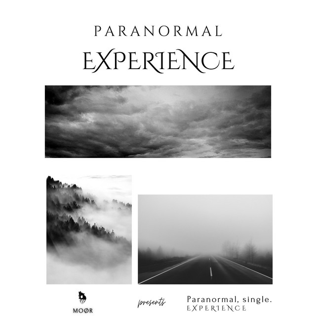'Paranormal Experience' cover art