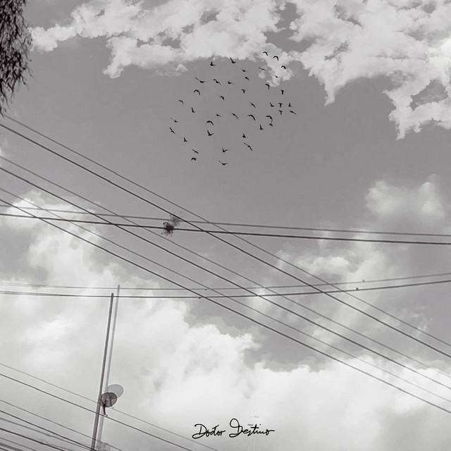 'Ceder' cover art