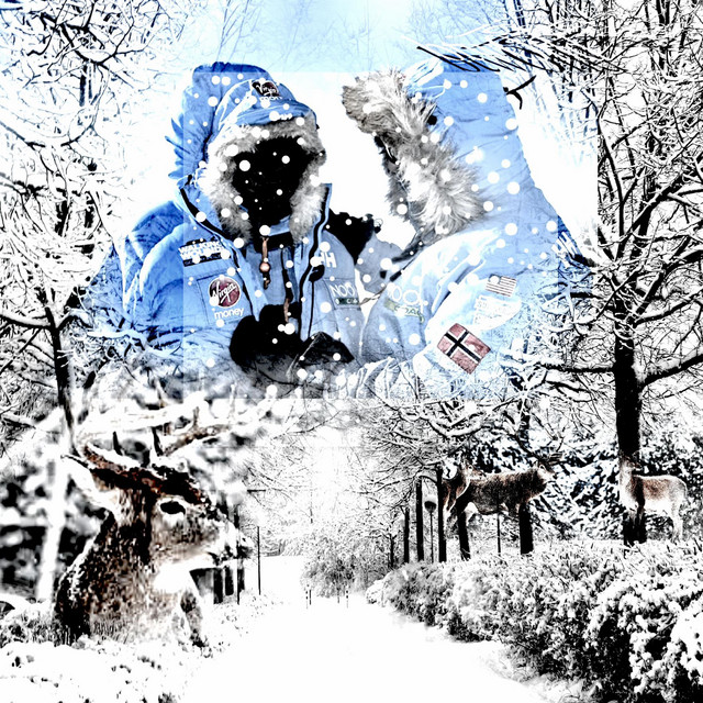'w1nner :)' cover art