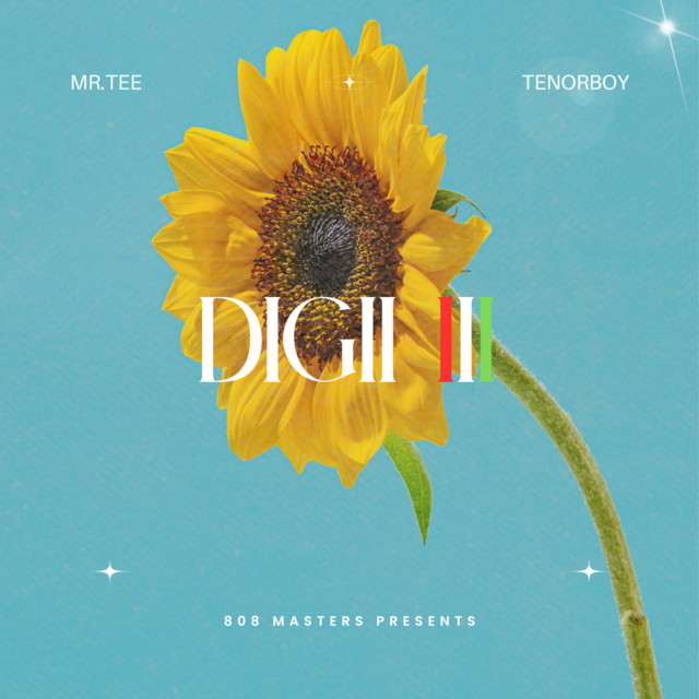 'DIGII III' cover art