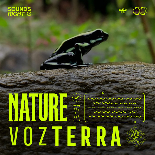 'Trópico' cover art