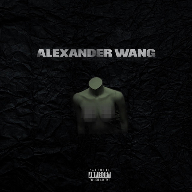 'Alexander Wang' cover art