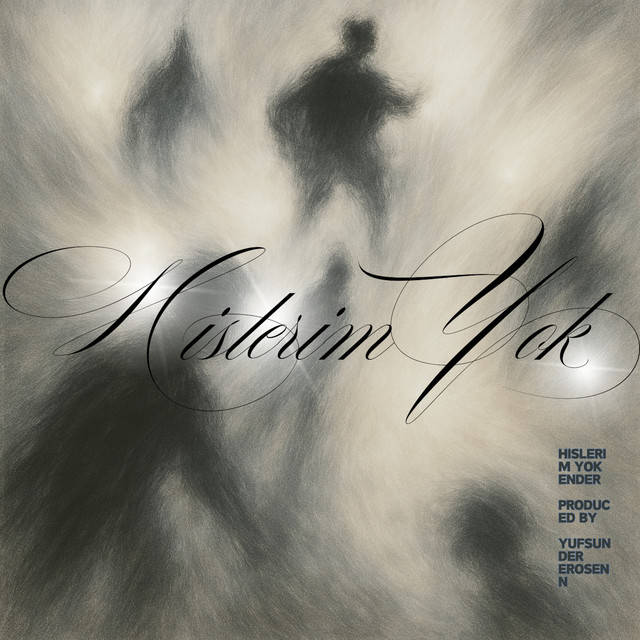 'Hislerim Yok' cover art