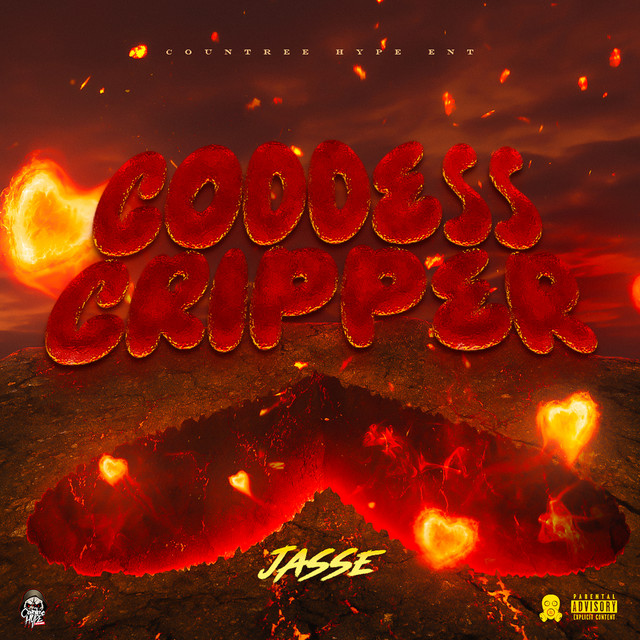 'Goodness Gripper' cover art