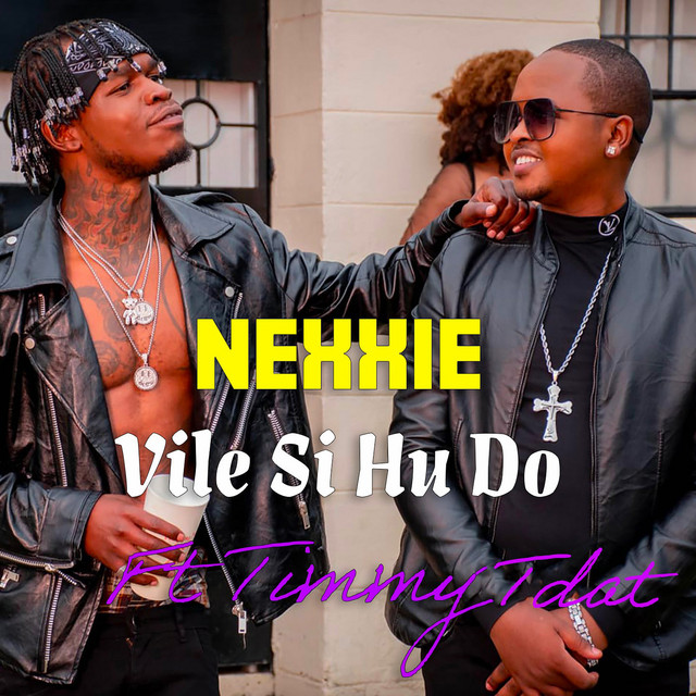 'Vile Si Hu Do' cover art
