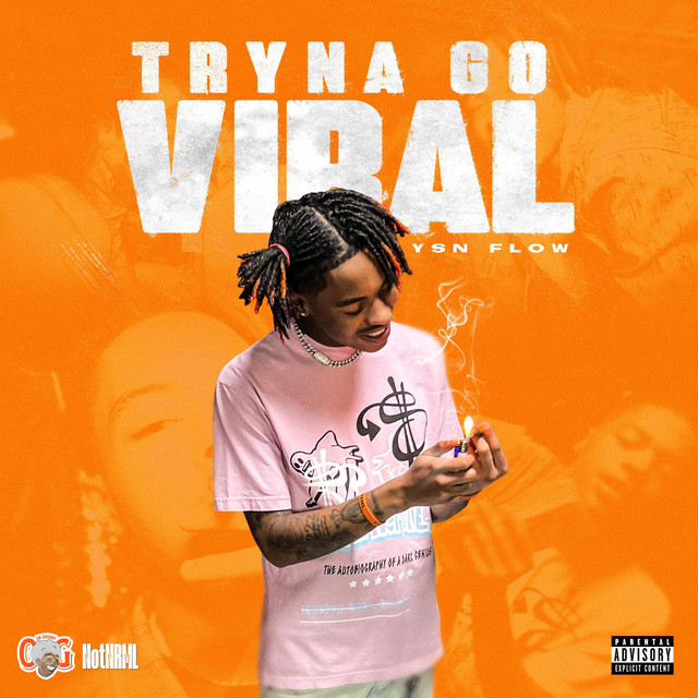 'Tryna Go Viral' cover art
