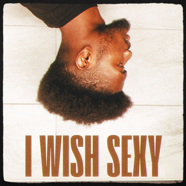 'I wish sexy (Acoustic version)' cover art