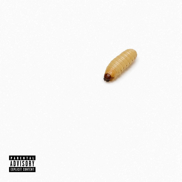 'Bush Tucker' cover art