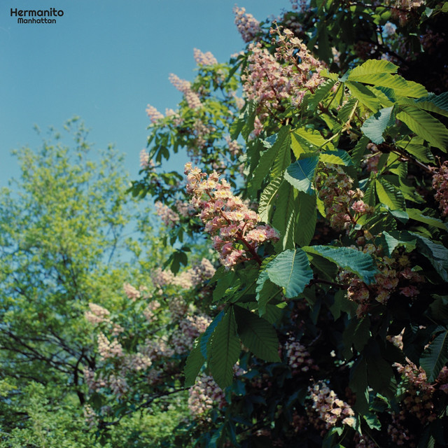 'Manhattan' cover art