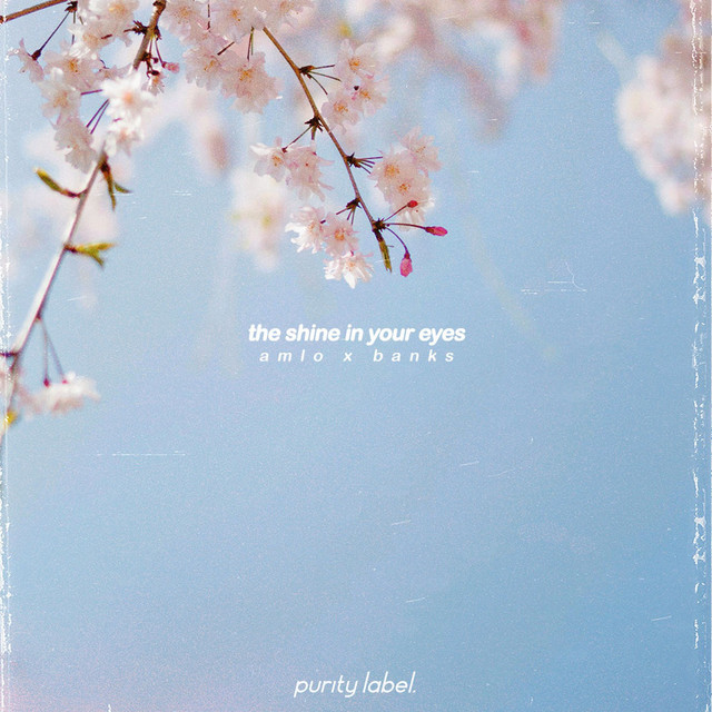 'the shine in your eyes' cover art