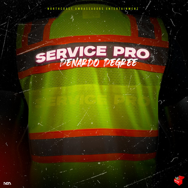 'Service Pro (Radio Edit)' cover art