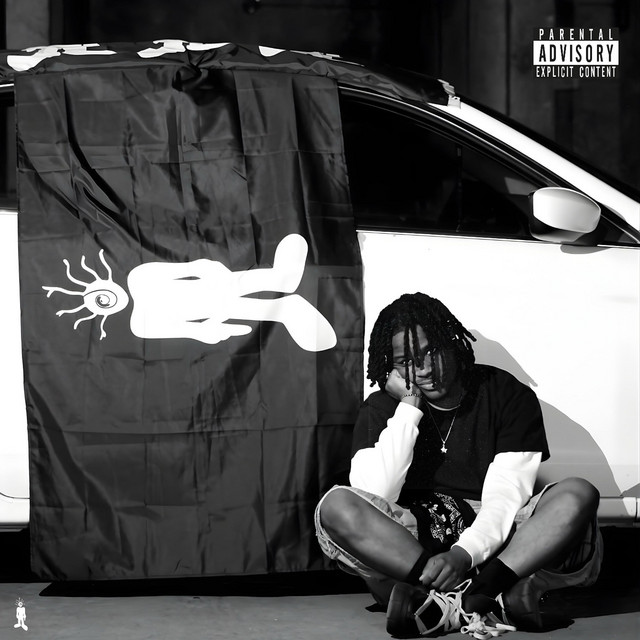 'dancing thru the madness' cover art