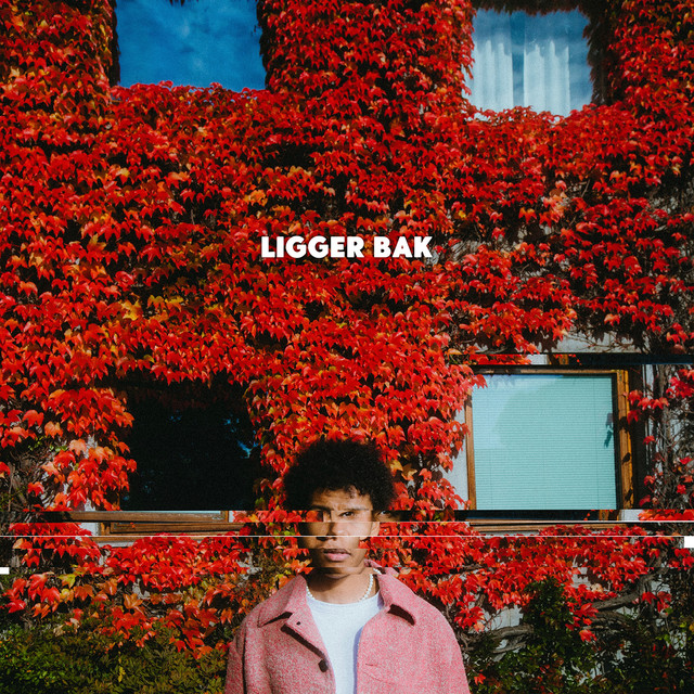 'Ligger bak' cover art