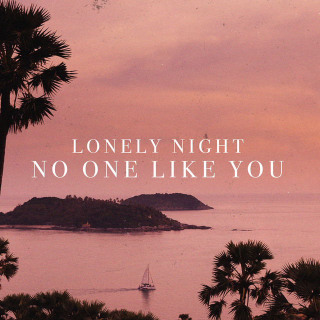 'No One Like You (Remixes)' cover art