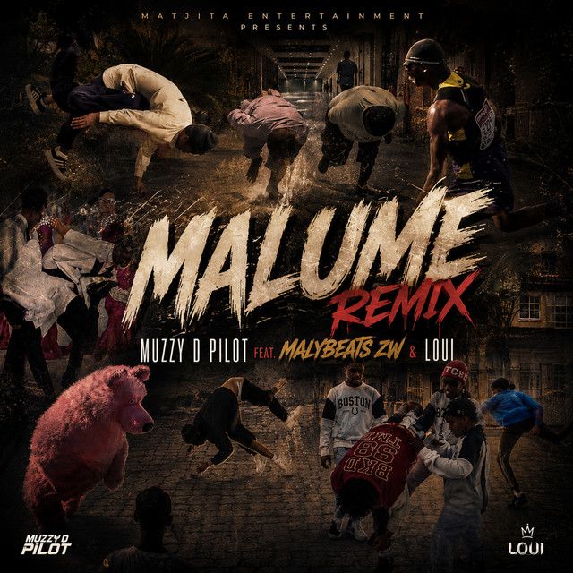 'Malume (Remix)' cover art