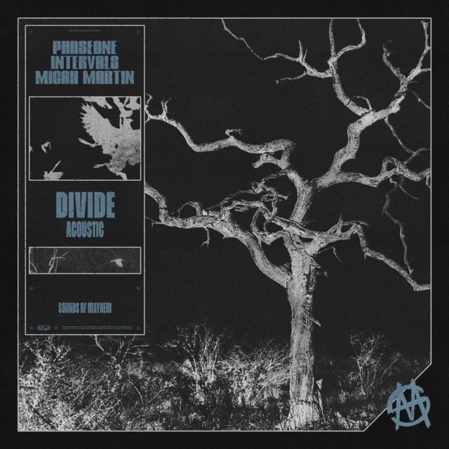 'DIVIDE (Acoustic)' cover art
