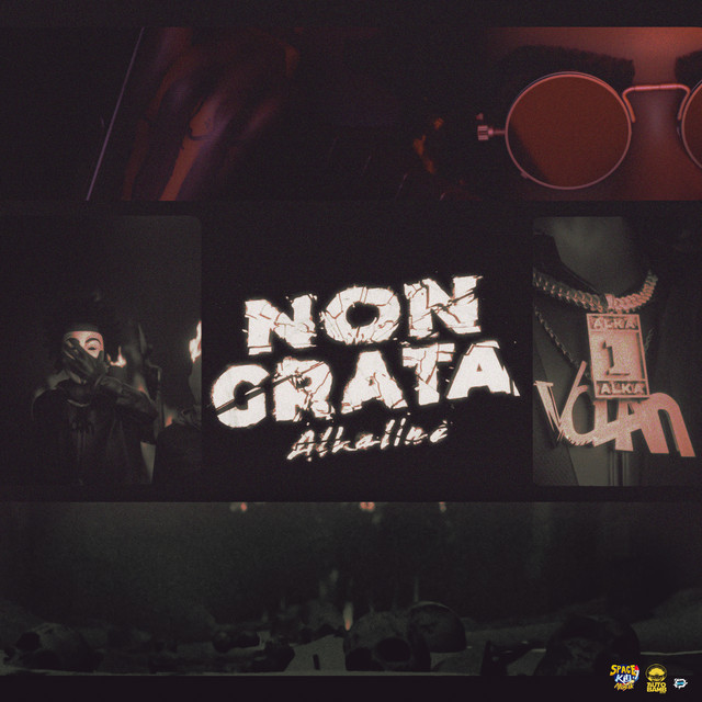 'Non Grata' cover art
