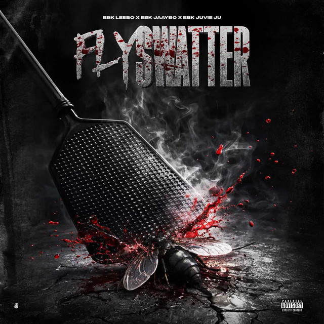 'Fly Swatter' cover art