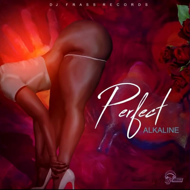 'Perfect' cover art