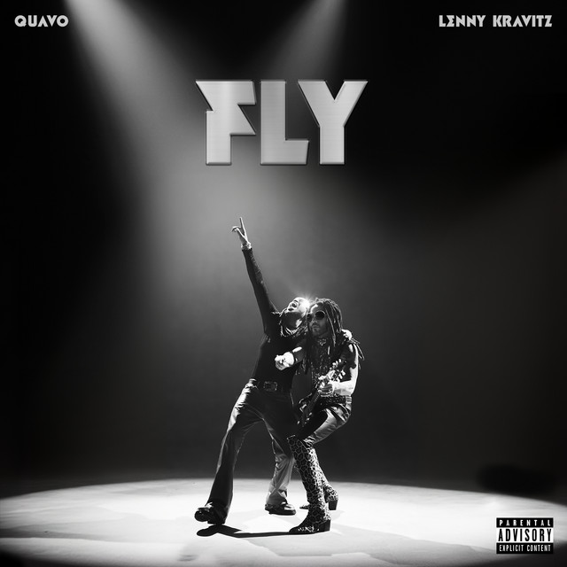 'FLY' cover art