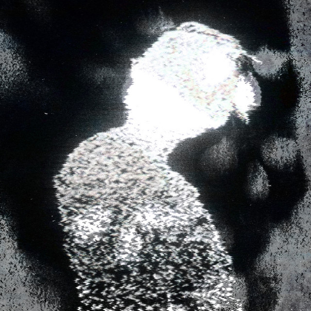 'HARMONIA DA MORTE' cover art