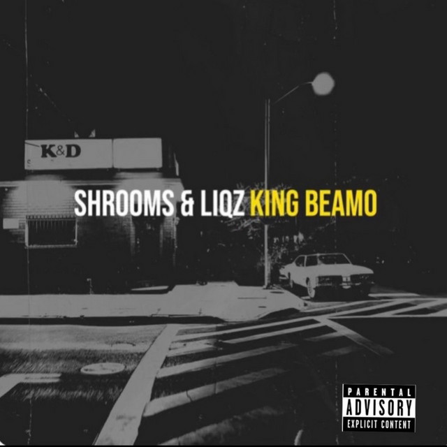 'Shrooms & Liqz' cover art