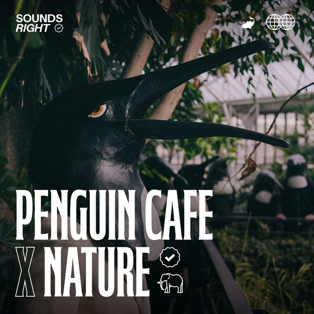 'Cutting Branches For A Temporary Shelter (feat. NATURE)' cover art