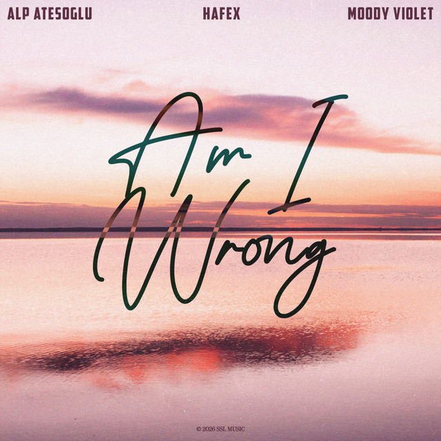 'Am I Wrong' cover art