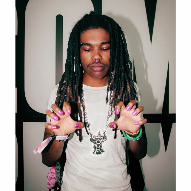 RainingLol - Official Artist Photo