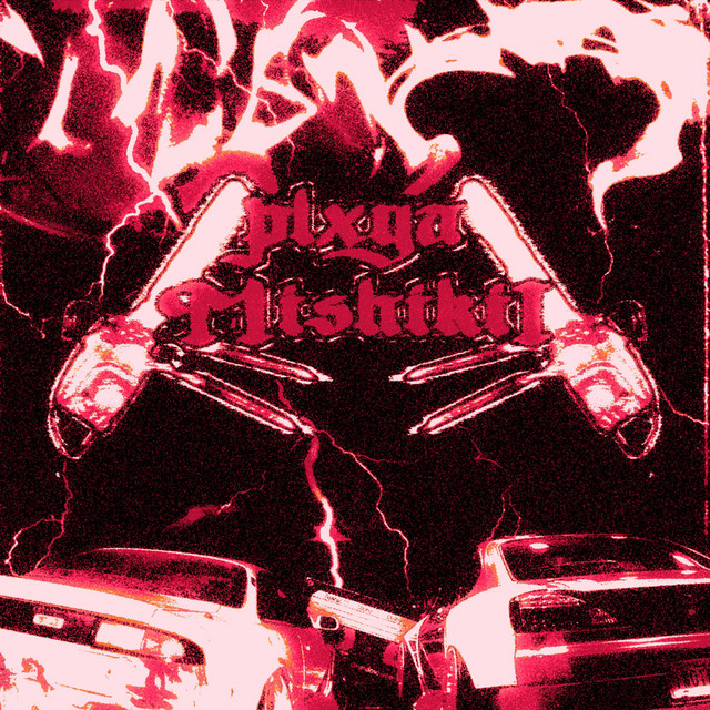 'never lose your PLXYAMISHIKII' cover art