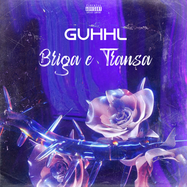 'Briga e Transa' cover art
