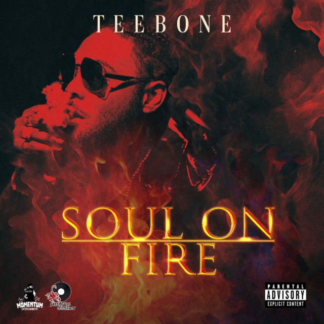 'Soul on Fire' cover art