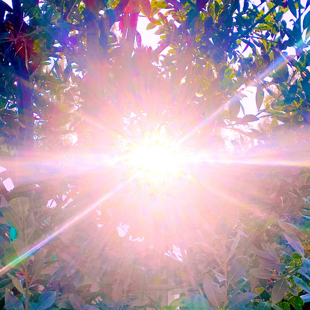 'Sunshine' cover art
