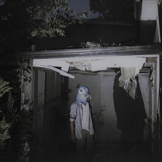 'crawlspace' cover art
