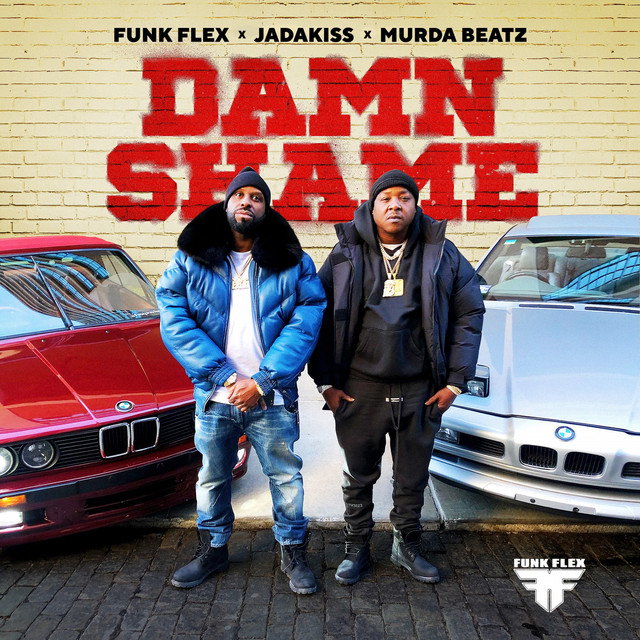 'Damn Shame' cover art
