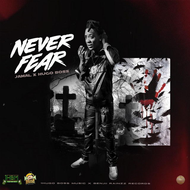 'Never Fear' cover art